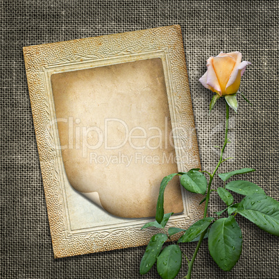 card for invitation or congratulation with yellow rose