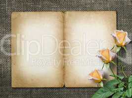 card for invitation or congratulation with yellow rose