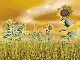 Sunflowers - 3D render