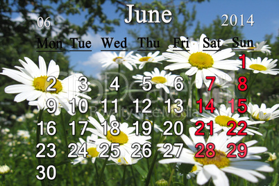 calendar for the june of 2014 with camomiles