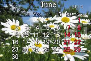 calendar for the june of 2014 with camomiles