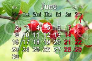 calendar for the june of 2014 with red berries of prunus tomentosa