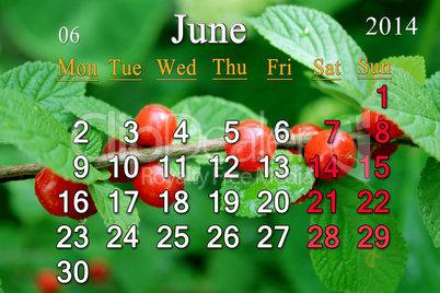 calendar for the june of 2014 with red berries of prunus tomentosa