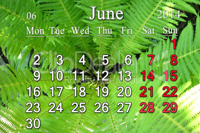 calendar for the june of 2014 on the background of fern