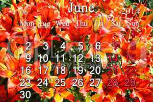 calendar for june of 2014 on the background of lilies
