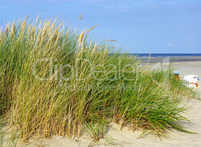 Dünen am Meer