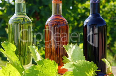 Weinflaschen - Wine Bottles