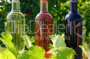 Weinflaschen - Wine Bottles