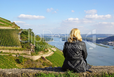 Weinberge am Rhein