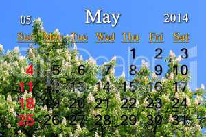 calendar for may of 2014 with crowns of chestnut