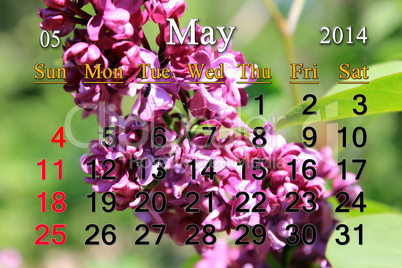 calendar for may of 2014 year with lilac flower