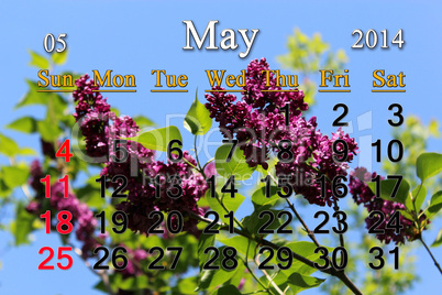 calendar for may of 2014 year with lilac flower