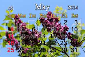 calendar for may of 2014 year with lilac flower