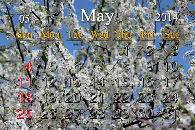 calendar for the may of 2014 year