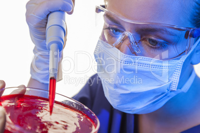 Female Scientist Pipette & Petri Dish In Laboratory