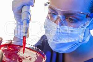 Female Scientist Pipette & Petri Dish In Laboratory