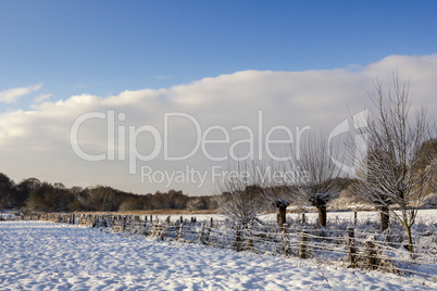 snow covered fields