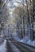 snowcovered road in forest