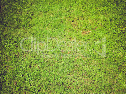 grass background