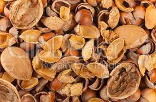 Empty shells of walnuts hazelnuts almonds