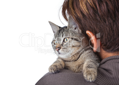 Cat and woman on a white background