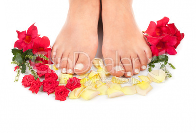 feet qnd roses
