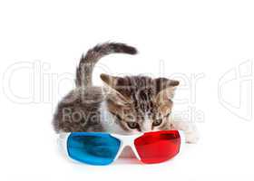 Puppy cat with 3d glasses