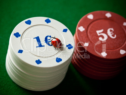 Ladybugs with poker chips
