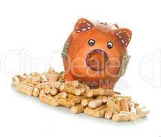 Wood pellets with piggy bank