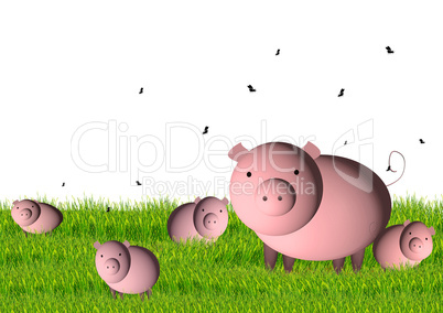 pig with small pigs