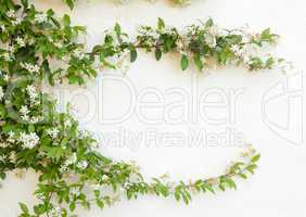 Natural frame of jasmine flowers on white wall