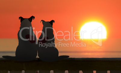 Couple of Jack russell watch the sunset