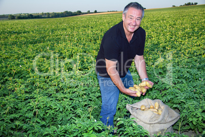 farmer at his control potatoes