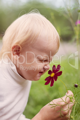 little boy smelling flower
