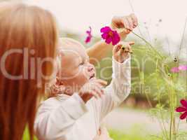 little boy smelling flower