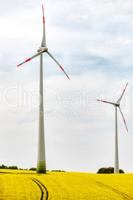 canola field with wind turbine for energy