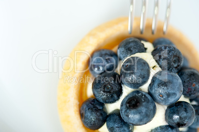 blueberry cream cupcake