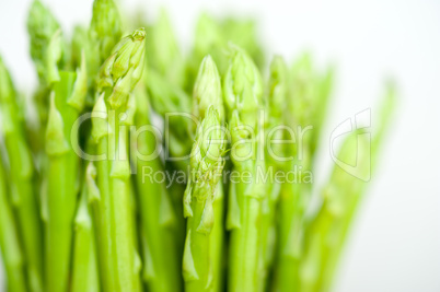 fresh asparagus over white