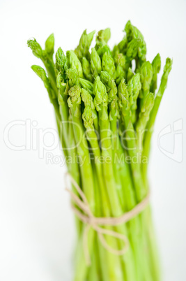 fresh asparagus over white