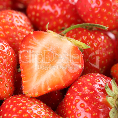 frische bio erdbeere