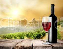 Vineyard and wine