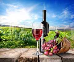 Red wine and vineyard