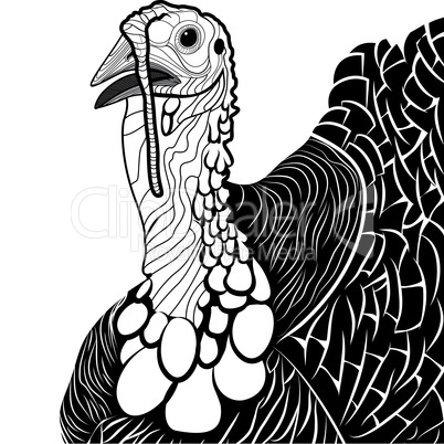 turkey bird head as thanksgiving symbol