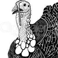 turkey bird head as thanksgiving symbol
