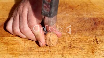 breaking walnut with hammer