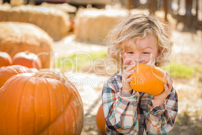 little boy sitting and holding his pumpkin at pumpkin patch.