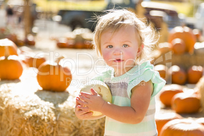 adorable baby girl holding a pumpkin at the pumpkin patch.