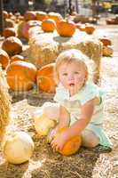 adorable baby girl holding a pumpkin at the pumpkin patch.