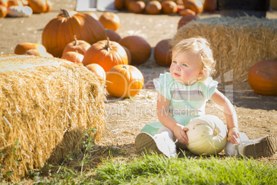 adorable baby girl holding a pumpkin at the pumpkin patch.