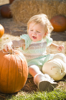 adorable baby girl holding a pumpkin at the pumpkin patch.